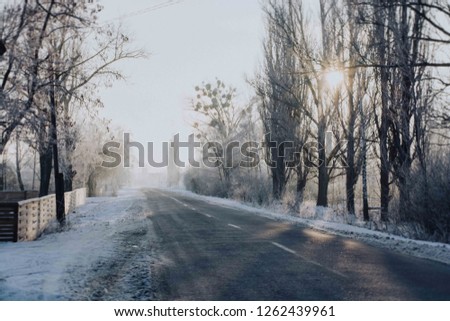 Wonderful wintry landscape. Frosty trees under warm sunlight. Picturesque nature scenery. Creative artistic image. Nature background. Winter holiday day.  It is snowing.