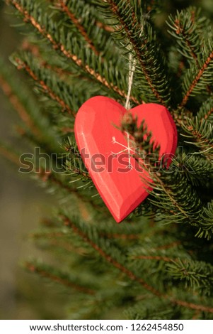 Beautiful greeting card with new year 2019 and happy valentine's day Christmas tree branches with red heart of flax in the rays of the winter sun, with copy space