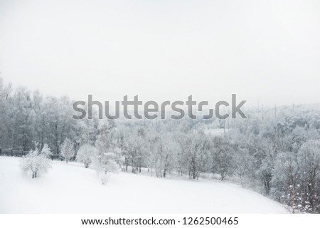 Landscape fabulous beautiful snowy forest
