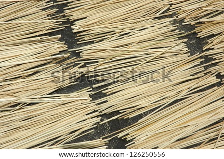 pieces of bamboo sticks
