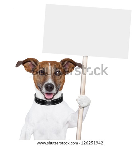 dog holding an empty placard and licking empty placard and smiling