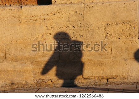 Silhouette of a person walking in a french street. Shadow of a lonely pedestrian projected on an ancient stone wall. Grey human being shape drawn on a brown textured surface by the sunlights.