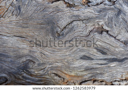 Close up background old wood.
