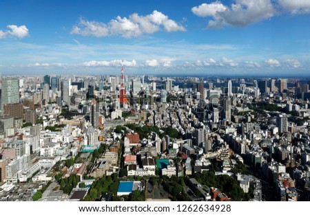 Aerial panorama of vibrant Tokyo City, with the famous landmark Tokyo Tower standing out among crowded skyscrapers in downtown and Odaiba Area by Tokyo Bay on the distant horizon under blue sunny sky