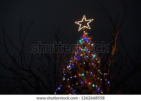 Christmas Tree in the dark Royalty-Free Stock Photo #1262668558