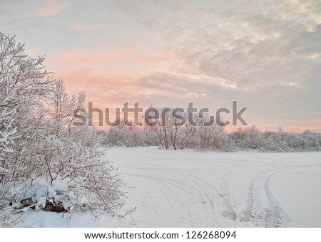 Snow footpath, trees in snow and the blue sky with clouds. Decline in the frosty winter evening