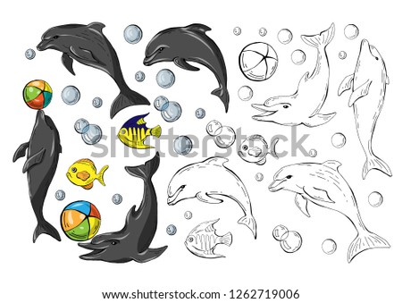 Set of colored dolphins and fish isolated on white background and monochrome copy , vector illustration