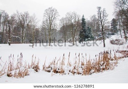Lazienki Park in winter. Poland, Warsaw.