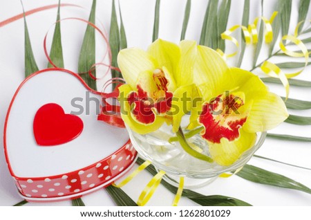 Two orchids in a glass vase, a box with a gift and a red heart. Composition for Valentine's Day.