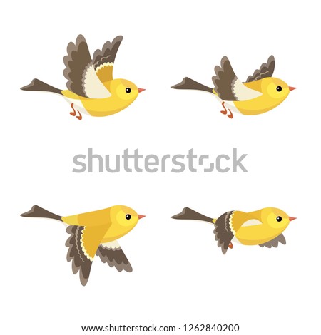 
Vector illustration of cartoon flying American Goldfinch (female) sprite sheet isolated on white background. Can be used for GIF animation 