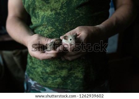 two little rats into strong caring men in the hands of military clothing on blurred background