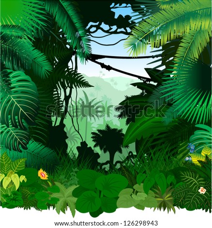 Vector tropical rainforest Jungle Royalty-Free Stock Photo #126298943
