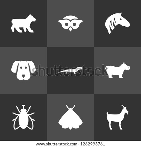 Set of 9 alive icons set. Collection of dog, fly, lizard and other elements.