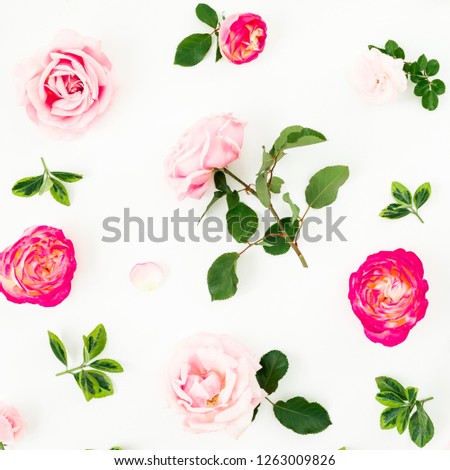 Pink roses flowers isolated on white background. Flat lay, Top view. Floral texture. Valentines day composition