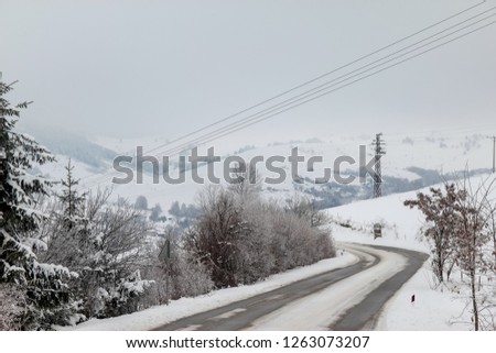 Road through forest with trees covered with snow