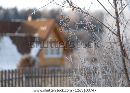 wooden house in the village in winter 