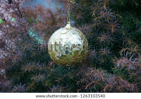 Christmas accessories, beautiful background, festive mood