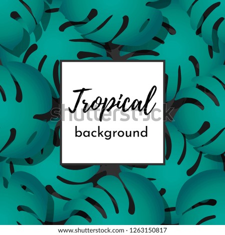 Vector background. Template for card or poster with isolated pattern green exotic tropical palm leaves on a black background and frame for text