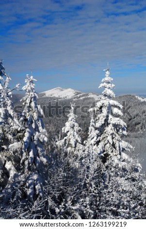 Bright winter day in the mountains