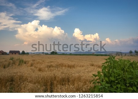 Storm clouds are building over the foothills of the Carpathian mountains in Transylvania, Romania
