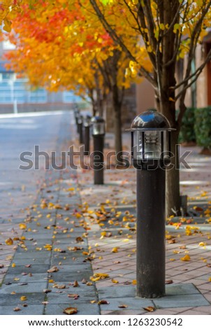 Light Posts on Sidewalk in Fall