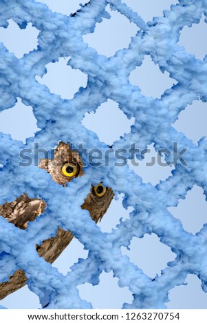 Owl. Artistic animal photos. Blue pattern background. 