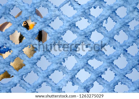 Artistic animal photos. Blue pattern background. Bird: Bearded Reedling. Panurus biarmicus