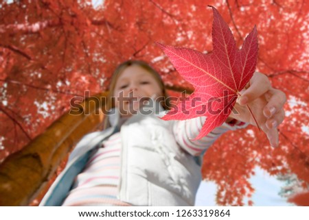 Portrait of girl holding maple leaf on autumn walk in countryside