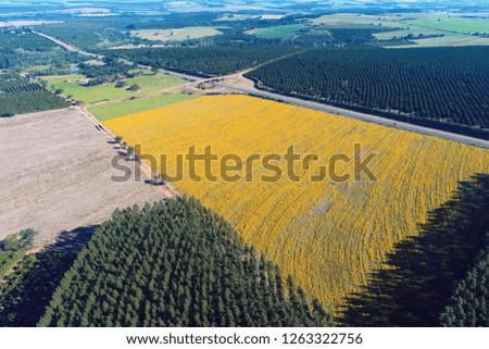 Aerial view of agriculture scene and rural scene. Beaufiful landscape. Great countryside view. Agriculture scenery. Rural scenery. Countryside scenery. Rural road. Farm view. Farming, agribusiness