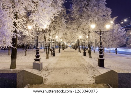 Winter park in the evening covered with snow with a row of lamps