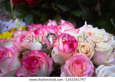 pink with white roses