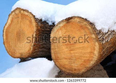 Wood stacked outdoors