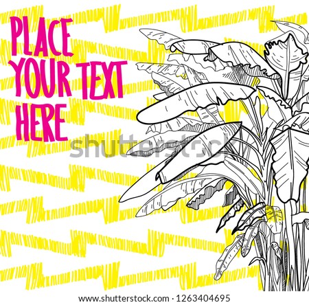 
Banana palm trees. Freehand drawing with pencil. Background for text. Summer background. Trees with large leaves, tropical trees.