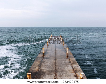 Gulls resting on the end of a breakwater or stone sea pier. Seascape at winter day.