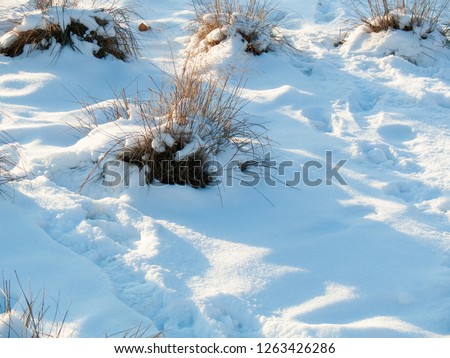 Snowdrifts on sunlight background. Blue shadows on white snow abstract photo. Merry Christmas or Happy New Year wallpaper or postcard. Frozen ground surface. Winter seasonal banner. Christmas holiday