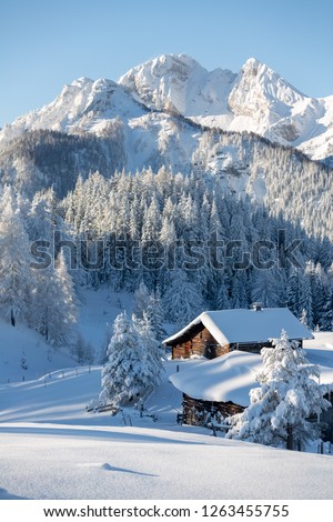 Winter wonderland in mountains. Winter vacation holiday wooden house in the mountains covered with snow. Pine trees forest and blue sky in the background. Vertical shot