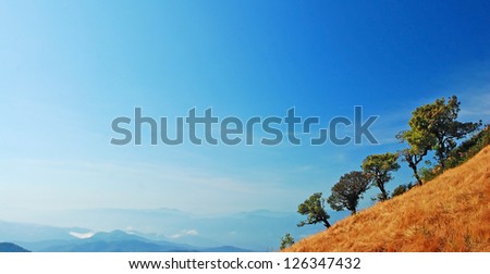 Mountain tree yellow grass hill and blue sky nature background in thailand for design