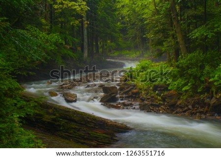 Fantastic landscape with forest and river. Opir River. Skolivski Beskydy National Park. Ukraine