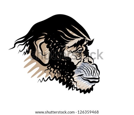 Vector drawing of the head of a monkey in a profile.