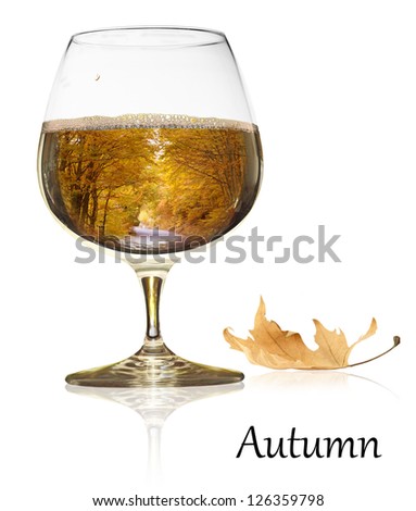 Autumn beauty in a glass of wine