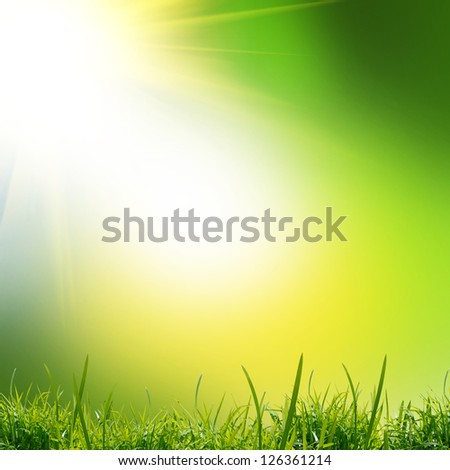 green nature background with grass