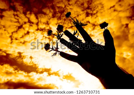 flowers glued to the adhesive plaster to male fingers. yellow, orange  sky background with white clouds. springtime season. wild yellow spring flowers. 
