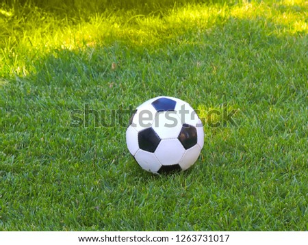 soccer ball lies on the green grass of the lawn