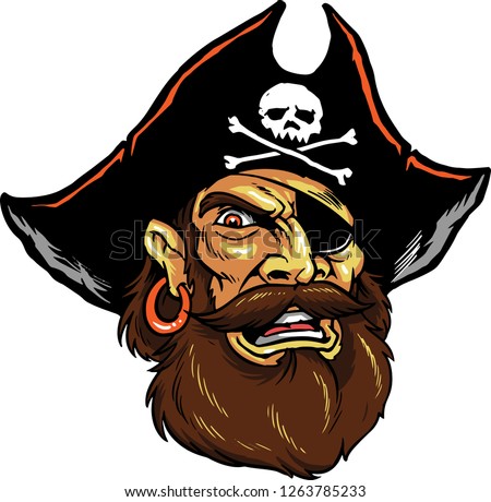 The illustration shows a pirate man with a big beard. He's wearing a huge black hat with a skull on it, he has an eye patch and he's wearing an earring. Royalty-Free Stock Photo #1263785233