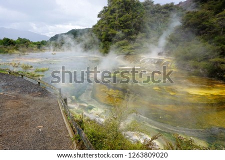 Colorful Warbrick Terrace steaming after a Brief Downpour, Waimangu Valley, North Island, New Zealand