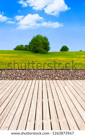 Nice garden with wooden terrace
