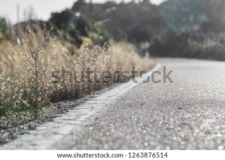 Dry road in Madrid, Spain.