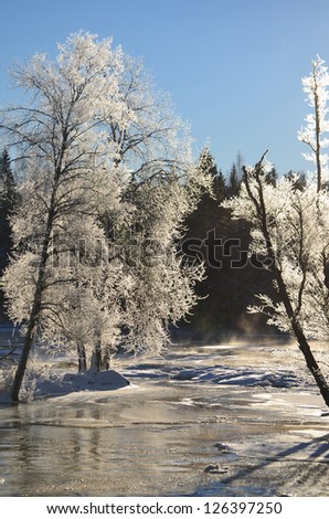 Frozen river in winter and tree branches covered with white frost