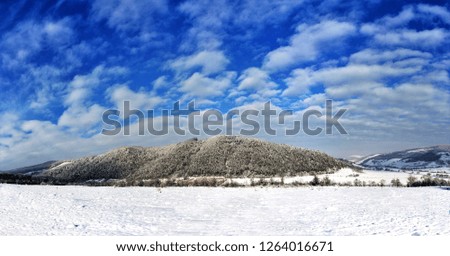 a panorama with a field and a forested hill in winter