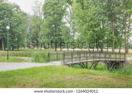 Summer landscape with a pond in the park. Nature in the vicinity of Pruzhany, Brest region,Belarus.